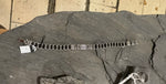 BRACELETS MÉTAL TURQUIE